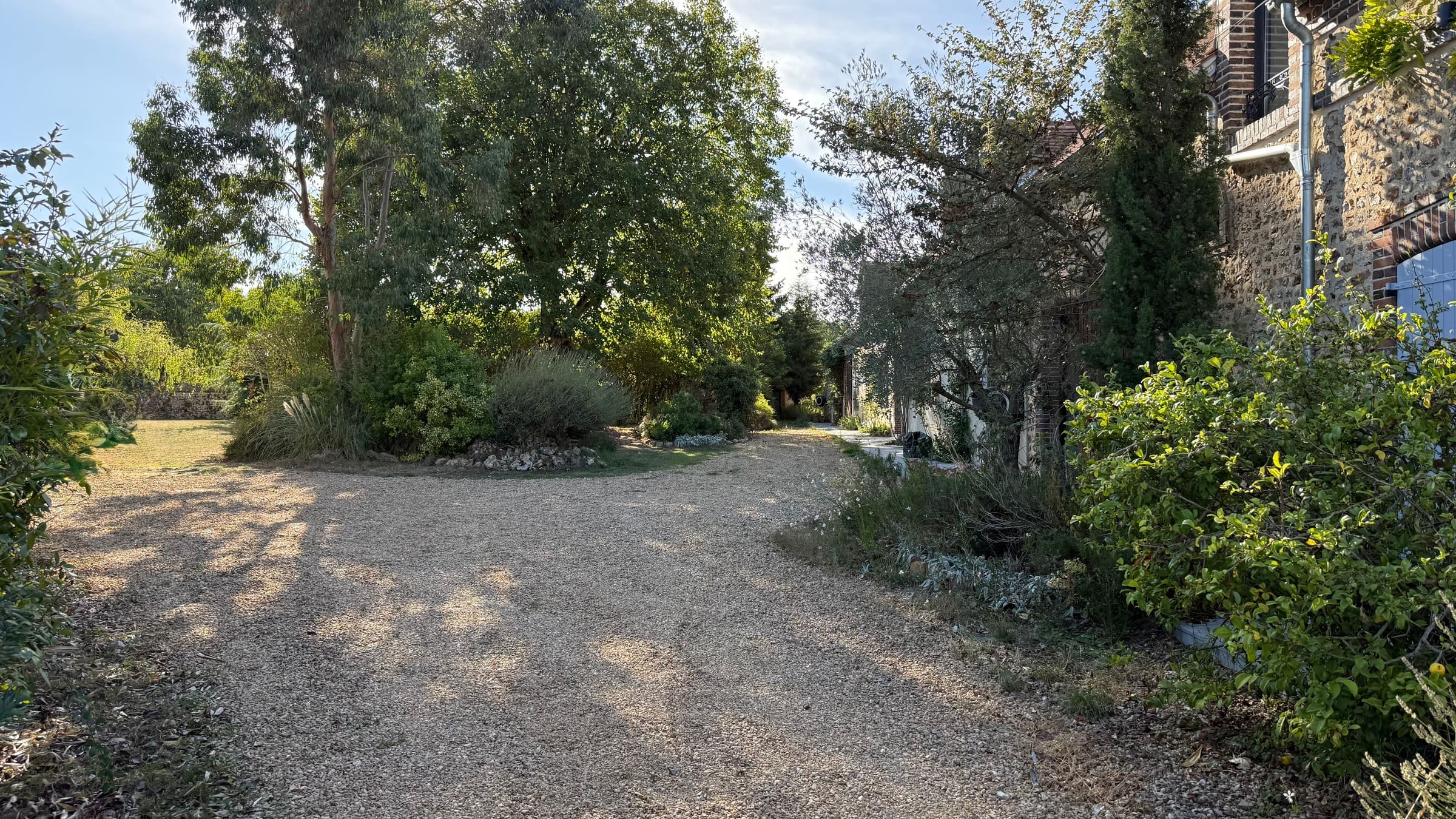 L’allée de gravier qui mène à la maison, bordée d’arbustes