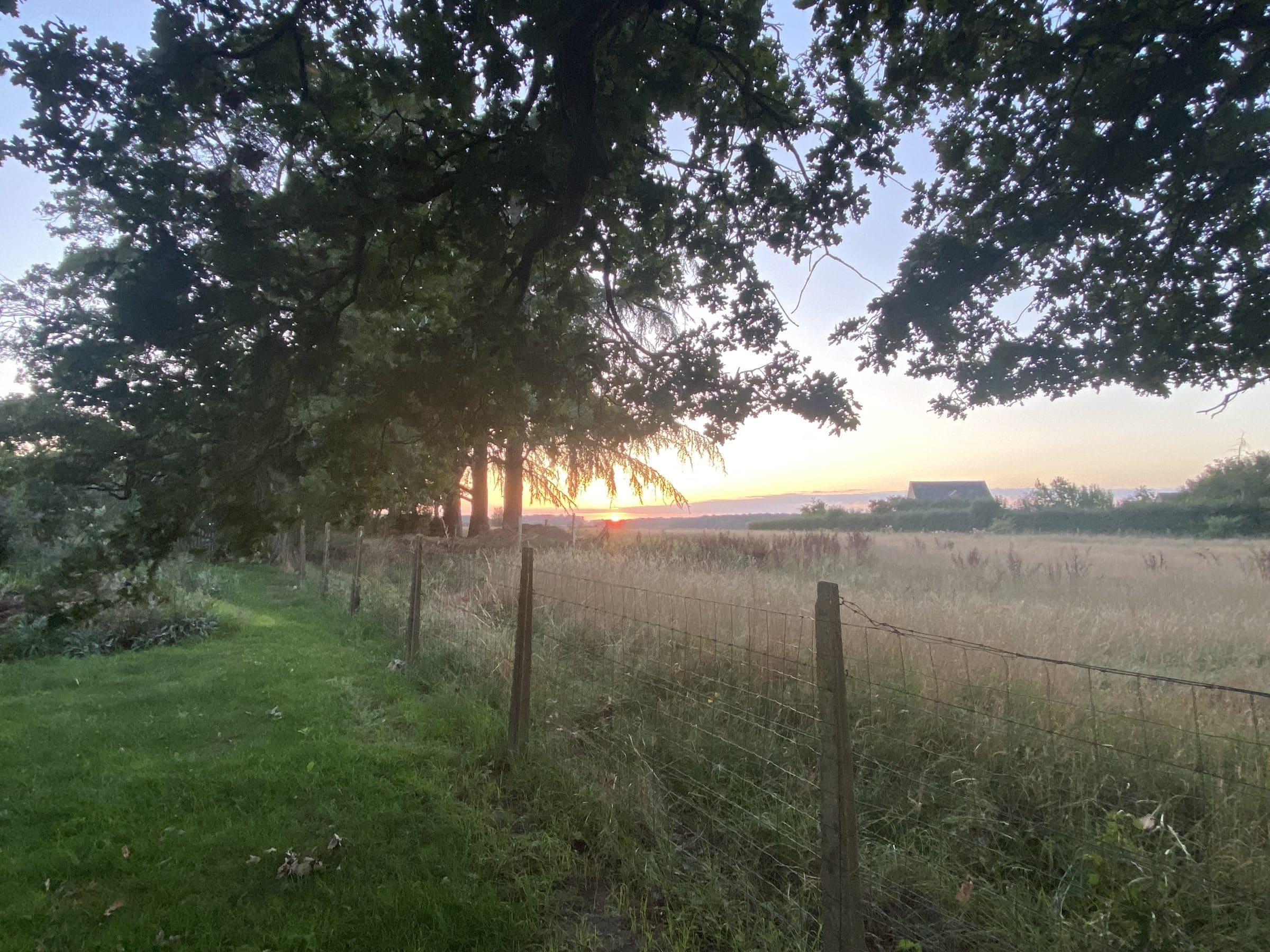 Coucher de soleil sur les champs, vu depuis le jardin