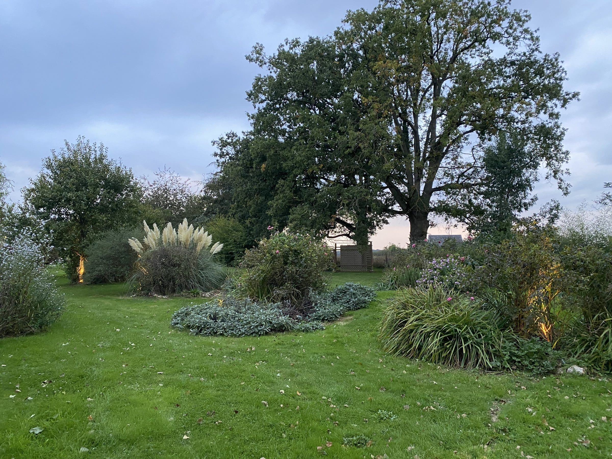 Les massifs du jardin et un grand chêne, en fin de journée