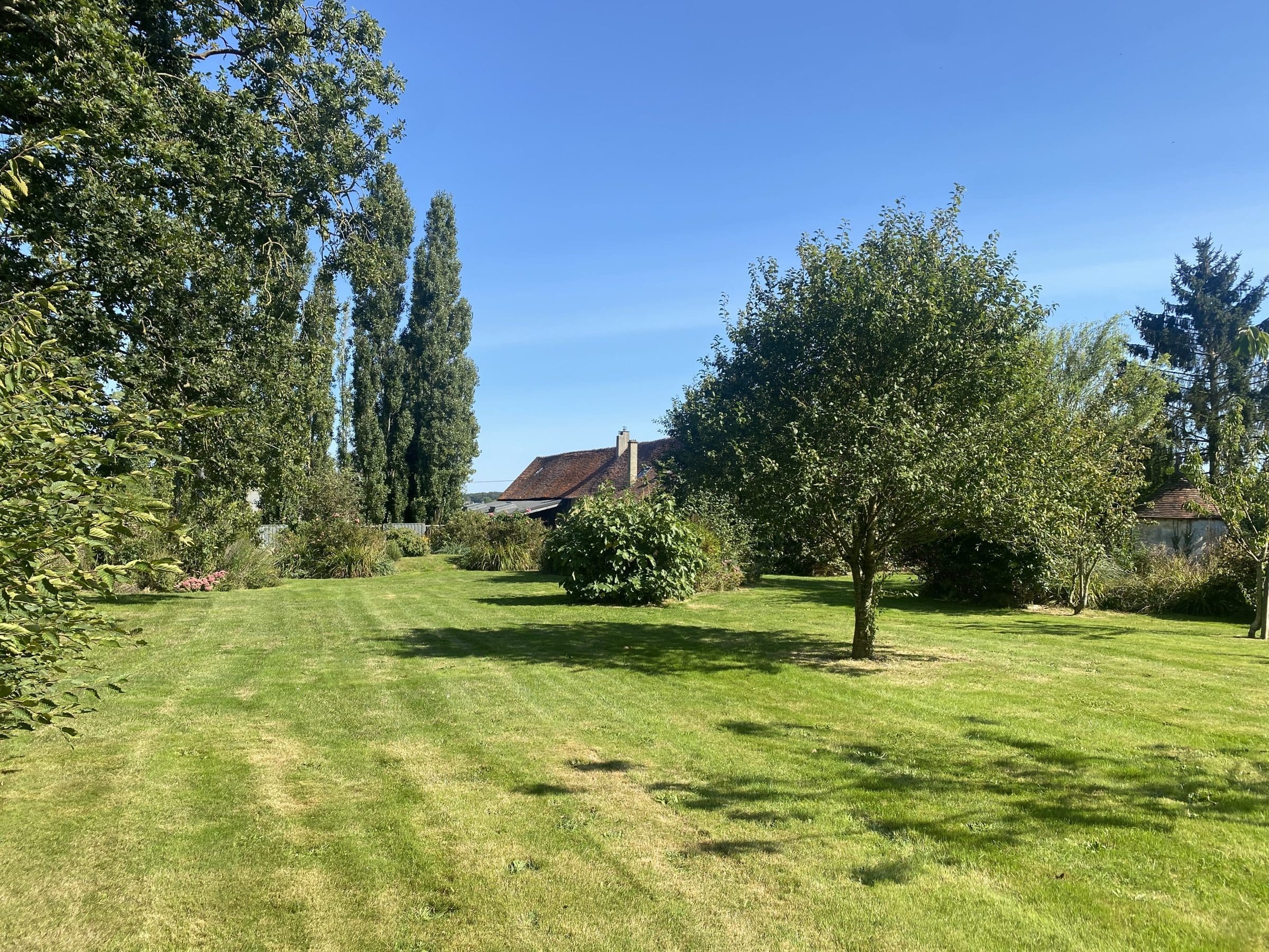 La grande pelouse et les arbres fruitiers du jardin